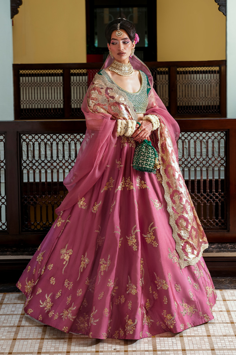 Picture of Jaanu